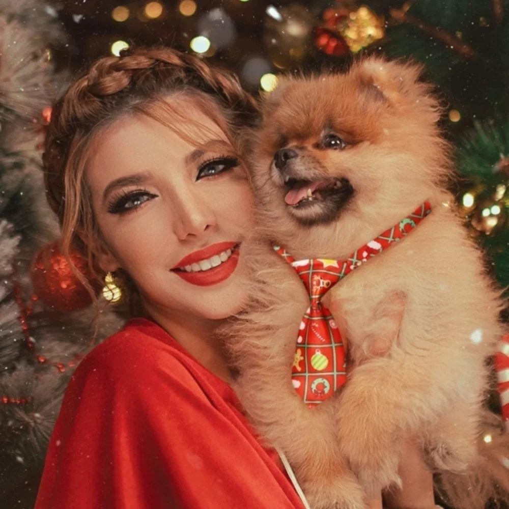 Christmas Necktie Pet Dog Collar for Dog Cat Clip Buckle Adjustable OS 1 Piece